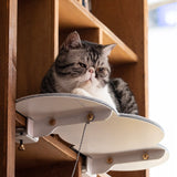 Catssup The Cloud Lounge 雲朵免鑽牆式貓跳台