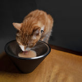 Mattte RoLock 不倒碗 (斜口飼料碗)