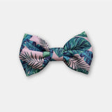 Envy Collection Mix & Match套裝 貓頸圈 領巾 領結 (Palm Leaves)
