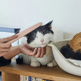 Wataoka 仿貓舌頭按摩梳 (Nekojasuri Cat Groomer)