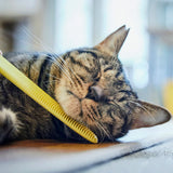 Wataoka 仿貓舌頭按摩梳 (Nekojasuri Cat Groomer)
